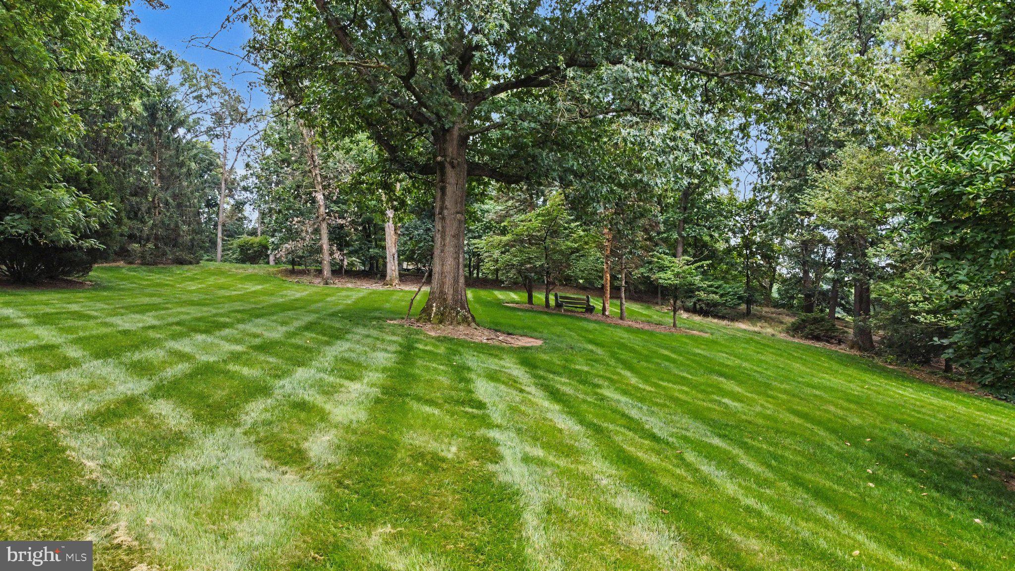 390 Miller Road Elizabethtown, PA 17022 - Photo 46 of 51 Gallery Image 46