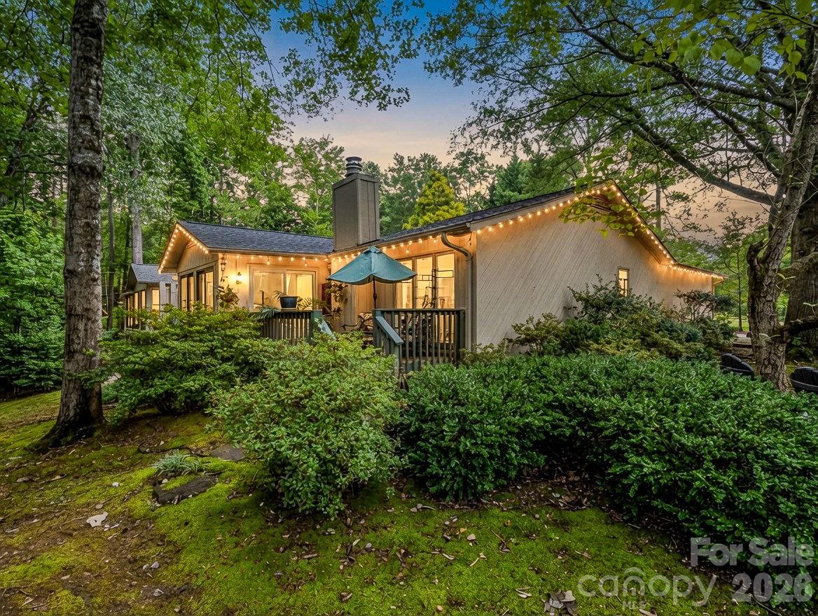 91 Diamond Ridge Lane Columbus, NC 28722 - Photo 2 of 46