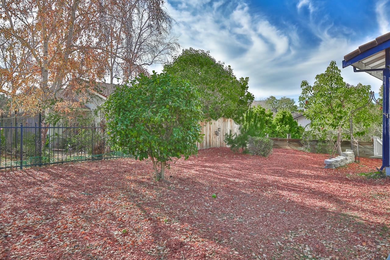 Gallery Image 7