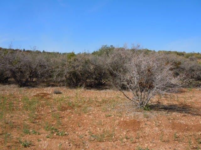 0 Country Canyon Road Tehachapi, CA 93561 - Photo 6 of 16 Gallery Image 6