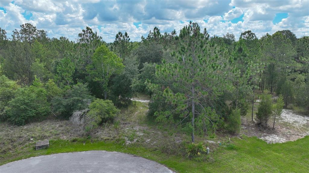 Valley Brook Spring Hill, FL 34606 - Photo 6 of 6