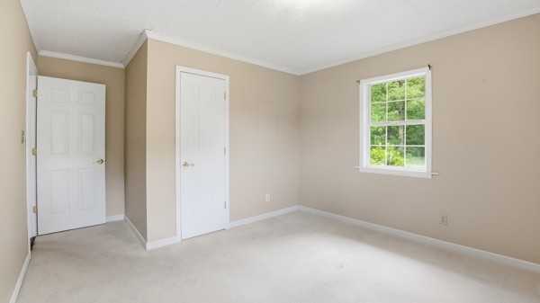 91 Golden Road Lynchburg, TN 37352 - Photo 16 of 24 Gallery Image 16
