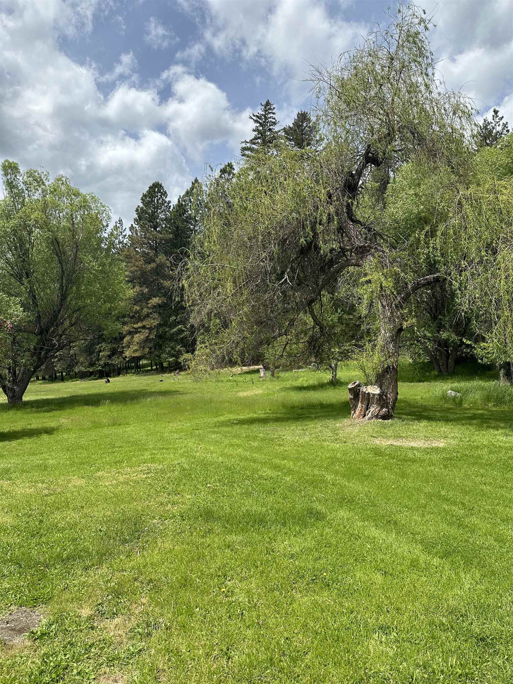 1001 West Walnut Street Newport, WA 99156 - Photo 27 of 29