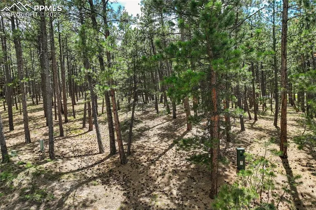 $230,000 | 17960 Smugglers Road, Monument, CO 80132