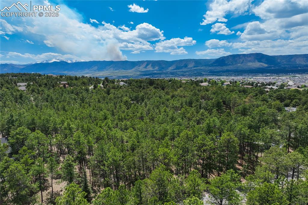 17960 Smugglers Road Monument, CO 80132 - Photo 15 of 31 a view of an outdoor space and a yard