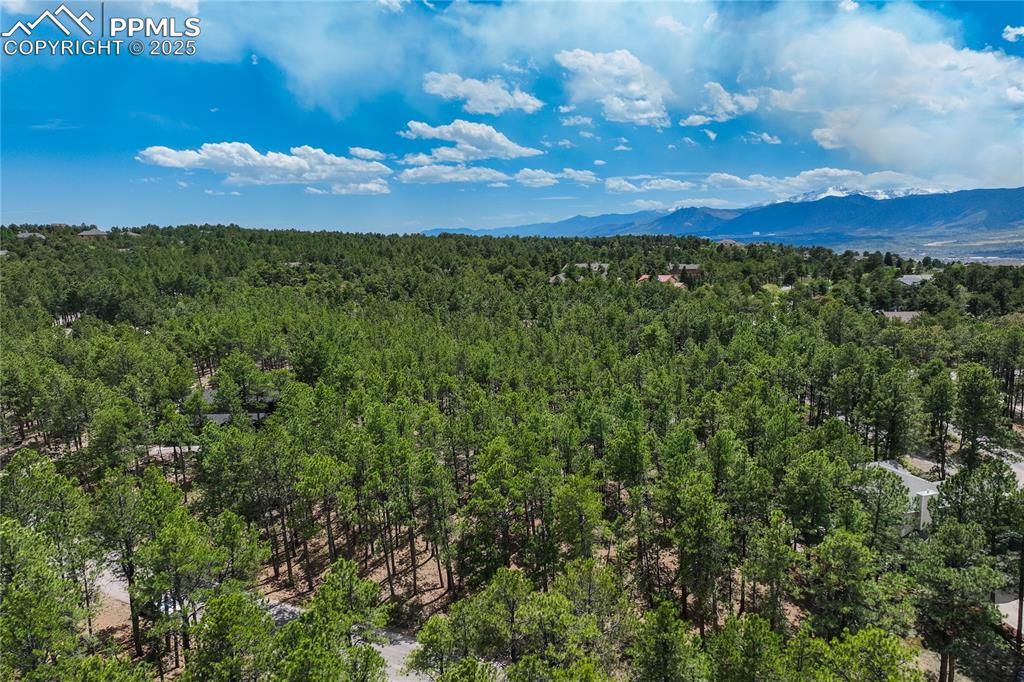 17960 Smugglers Road Monument, CO 80132 - Photo 16 of 31 a view of mountain with outdoor space