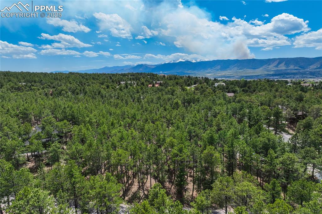 17960 Smugglers Road Monument, CO 80132 - Photo 26 of 31