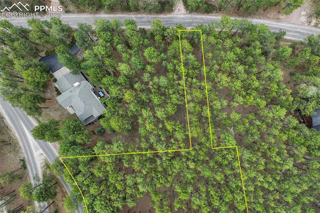 17960 Smugglers Road Monument, CO 80132 - Photo 31 of 31 a view of a yard