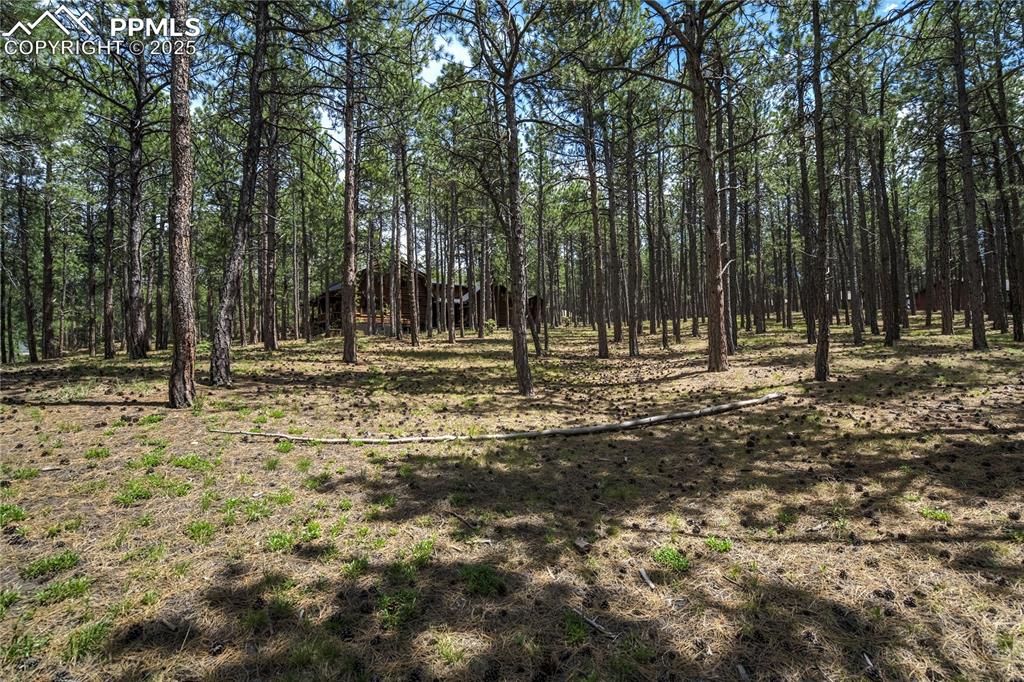 17960 Smugglers Road Monument, CO 80132 - Photo 4 of 31 a view of outdoor space with trees