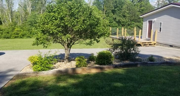 293 Gamble Gap Road Tellico Plains, TN 37385 - Photo 7 of 22 7