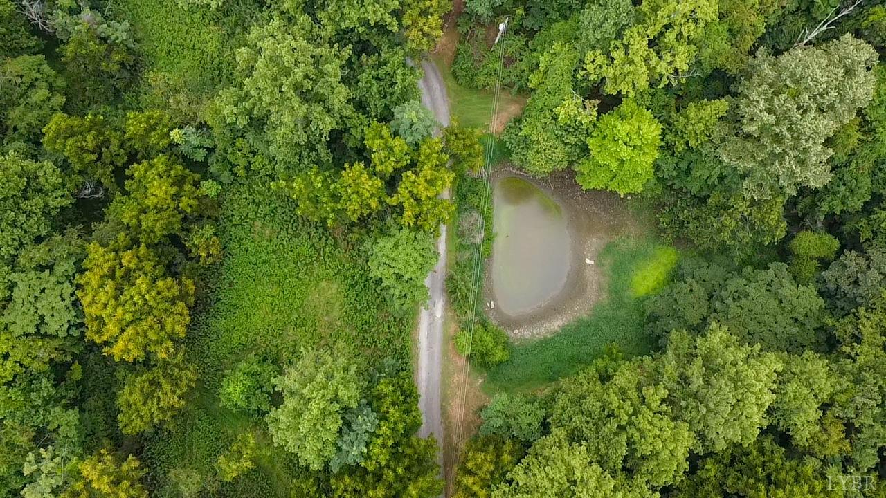 1206 Ambrose Rucker Road Monroe, VA 24574 - Photo 53 of 55 Gallery Image 53