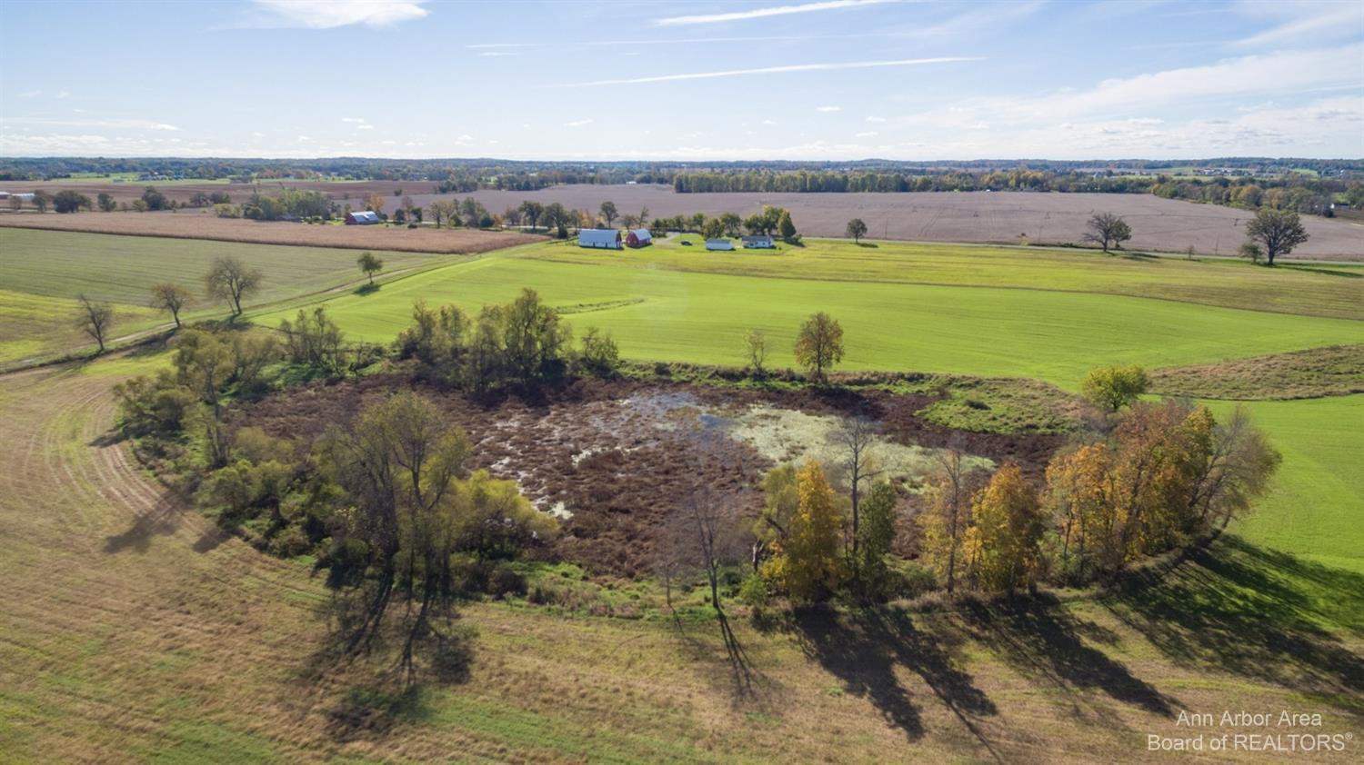 16240 Sharon Valley Road Manchester, MI 48158 - Photo 10 of 48 Photo 10