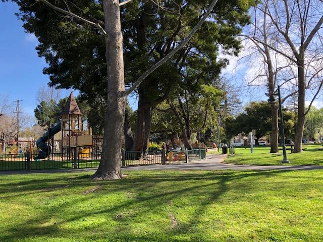 340 Kipling Street Palo Alto, CA 94301 - Photo 6 of 8 a garden view with tall trees