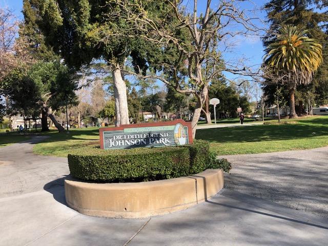340 Kipling Street Palo Alto, CA 94301 - Photo 7 of 8 a view of a park with large trees