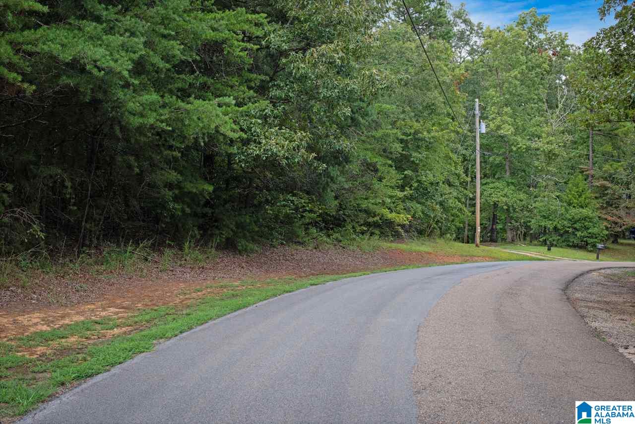 0 Harbor Light Trail, Unit 1 Jasper, AL 35504 - Photo 17 of 22
