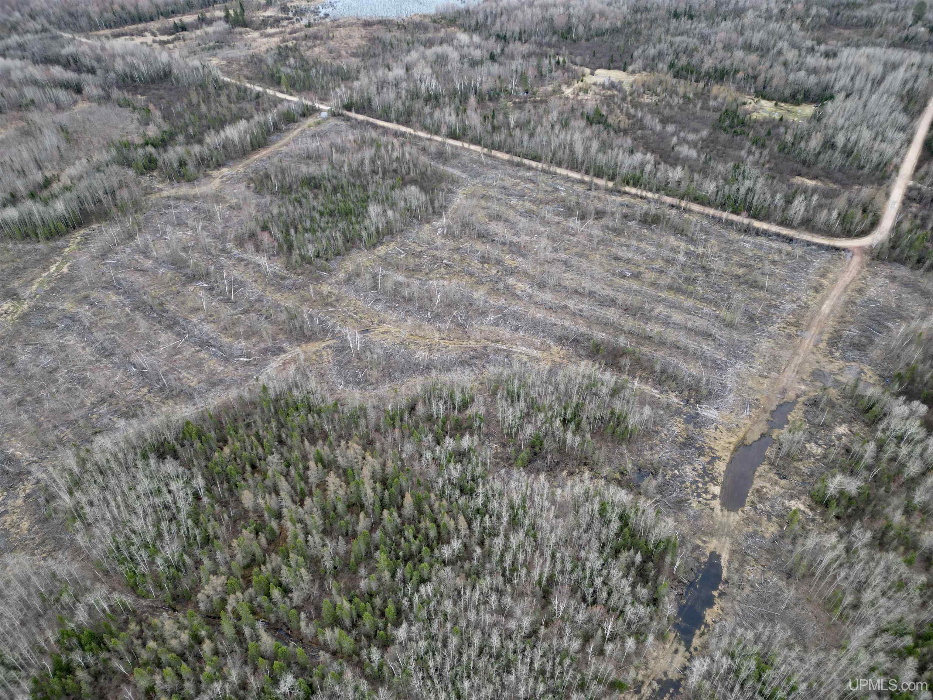 Tbd North Rock 38th Rd Sw 40 Road Rock, MI 49880 - Photo 18 of 29