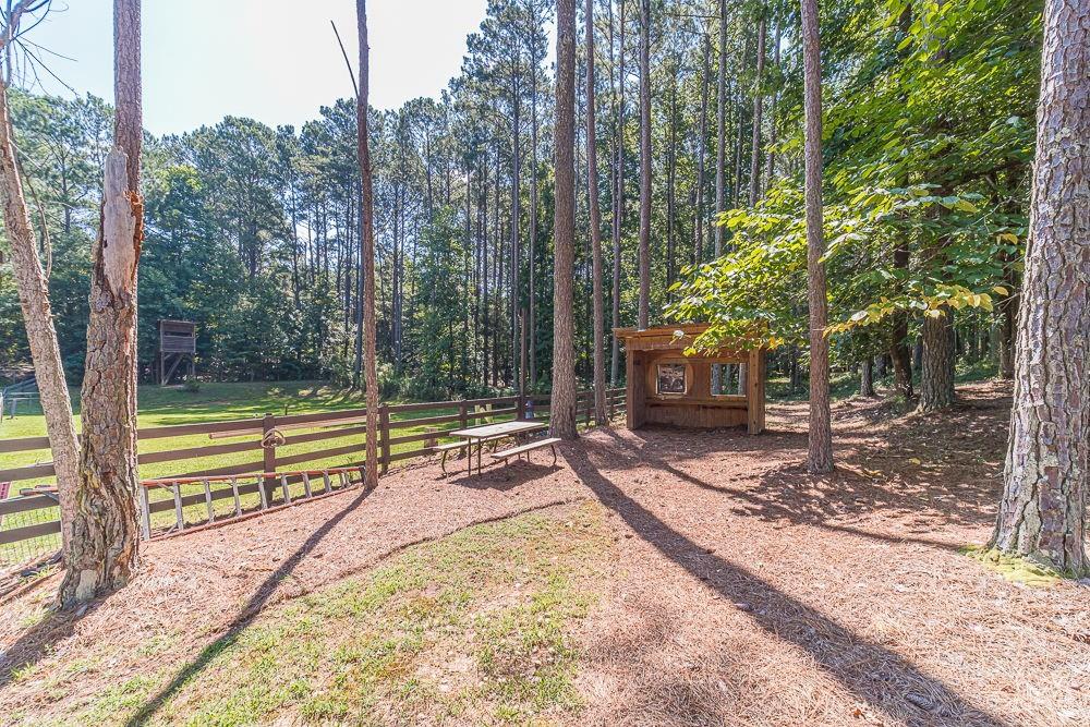 2431 Rabbit Farm Circle Loganville, GA 30052 - Photo 34 of 65