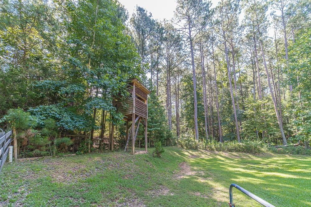 2431 Rabbit Farm Circle Loganville, GA 30052 - Photo 36 of 65