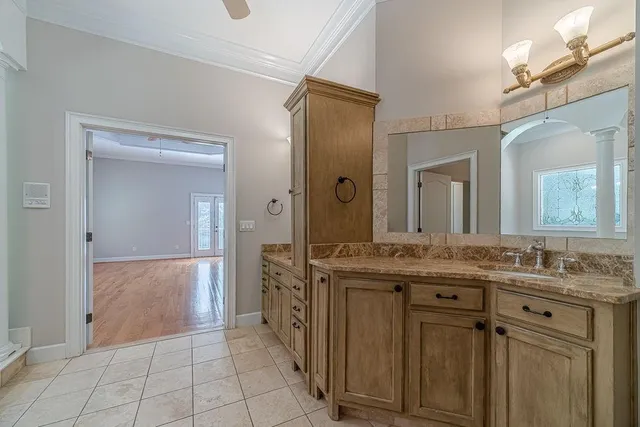 a view of a yard with plants and trees