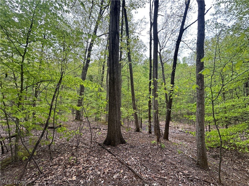 Wesley Chapel Mount Mount Perry, OH 43760 - Photo 4 of 15