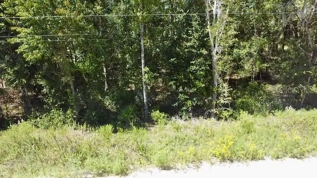 $14,000 | Northeast 110th Court, Williston, FL 32696