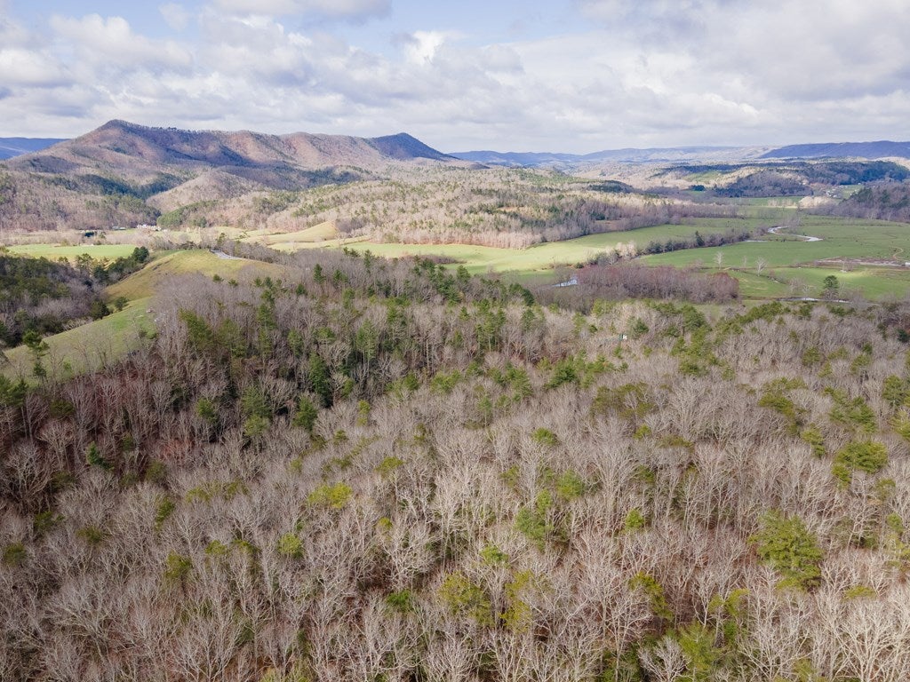 2804 Price Ridge Road Bland, VA 24315 - Photo 50 of 63 Gallery Image 50