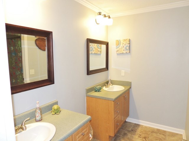 627 Old Cabaniss Road Forsyth, GA 31029 - Photo 15 of 20 a bathroom with a granite countertop sink vanity mirror and
