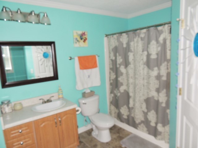 627 Old Cabaniss Road Forsyth, GA 31029 - Photo 8 of 20 a bathroom with a sink toilet and shower
