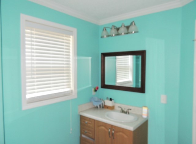 627 Old Cabaniss Road Forsyth, GA 31029 - Photo 9 of 20 a bathroom with a sink a mirror and a window
