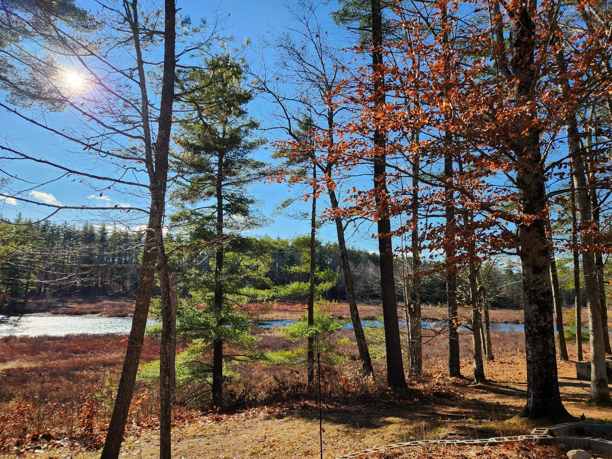 345 Heron Point Road Alton, NH 03809 - Photo 15 of 32 Gallery Image 15