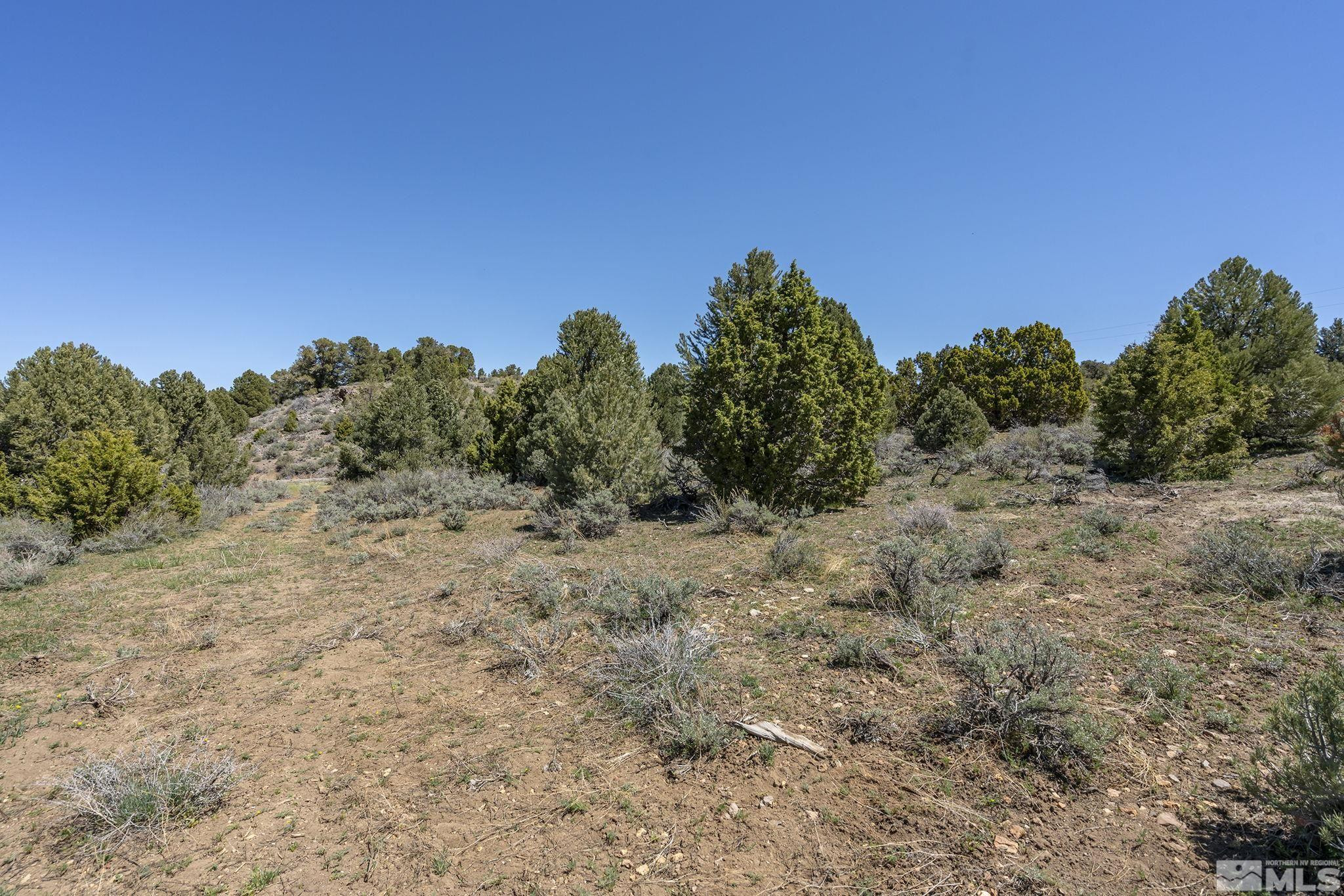 1850 Lousetown Road Reno, NV 89521 - Photo 2 of 14 a view of a dry yard with trees