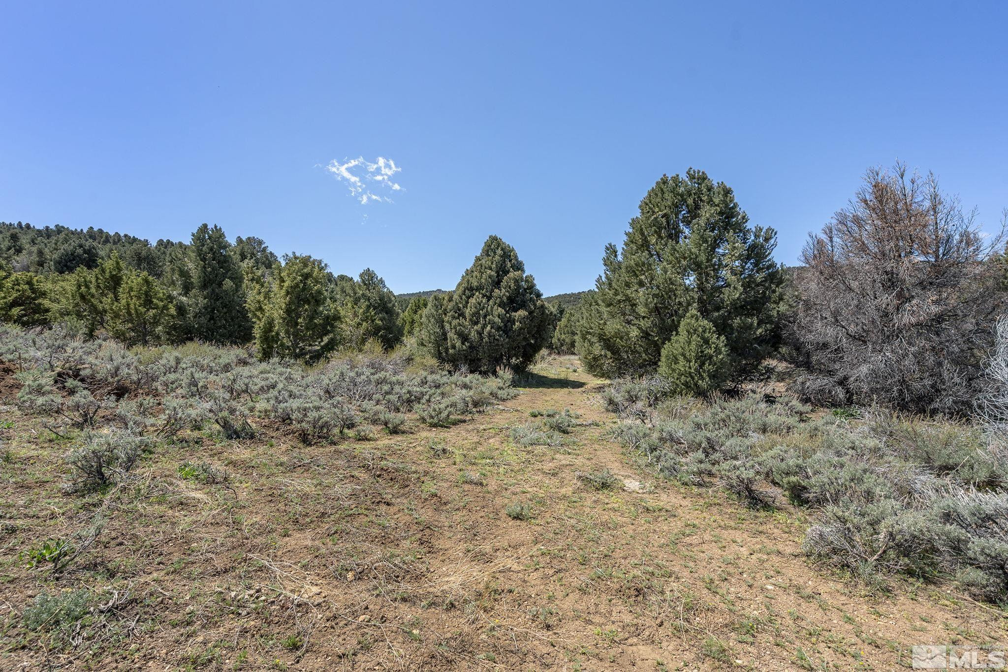 1850 Lousetown Road Reno, NV 89521 - Photo 3 of 14 a view of a dry yard with trees in the background