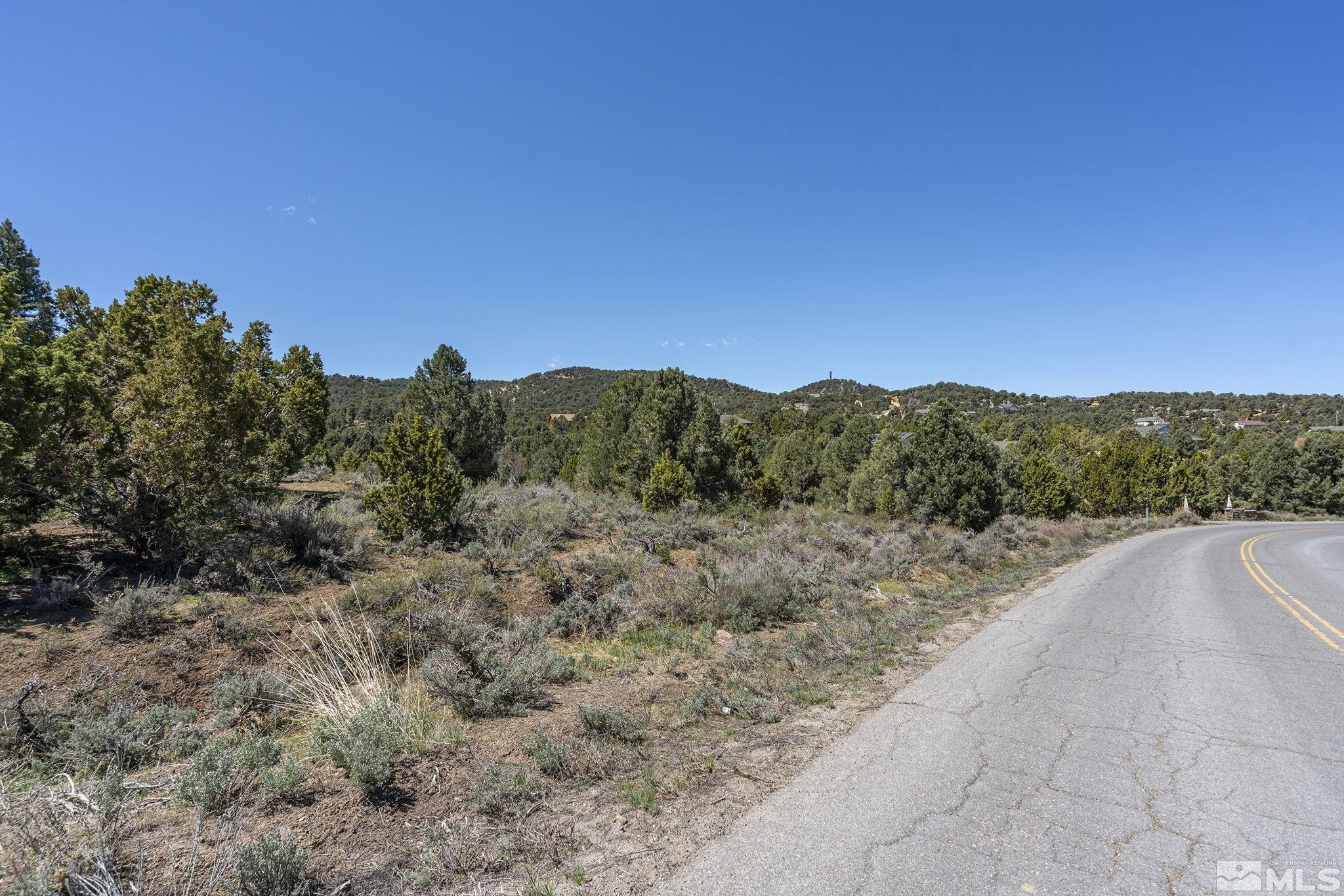 1850 Lousetown Road Reno, NV 89521 - Photo 4 of 14 a view of a dry yard with trees