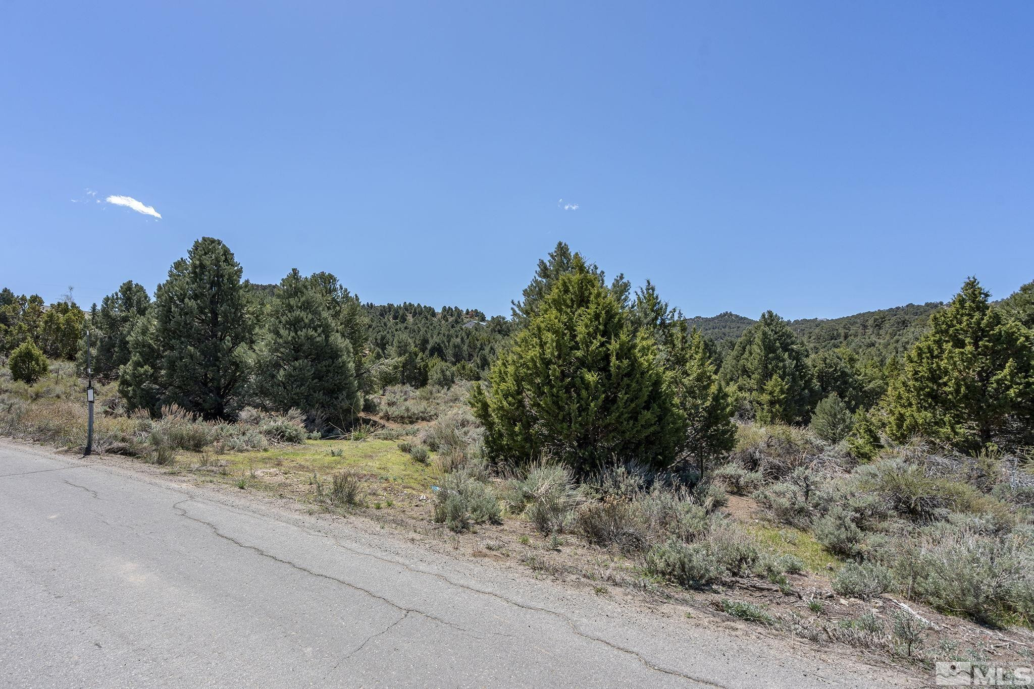 1850 Lousetown Road Reno, NV 89521 - Photo 5 of 14 a view of a road with a trees in the background