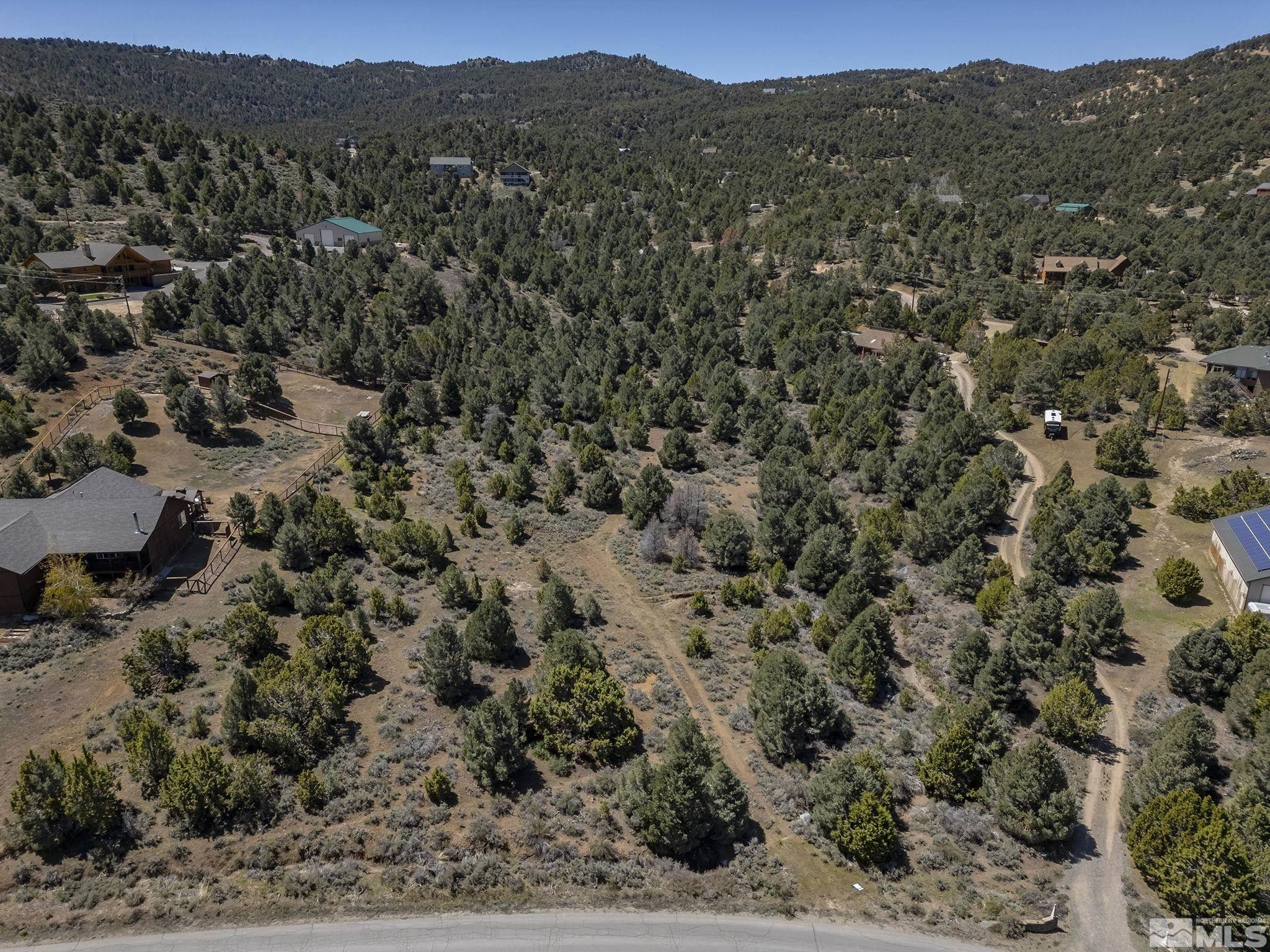 1850 Lousetown Road Reno, NV 89521 - Photo 10 of 14 a view of a forest with mountains in the background