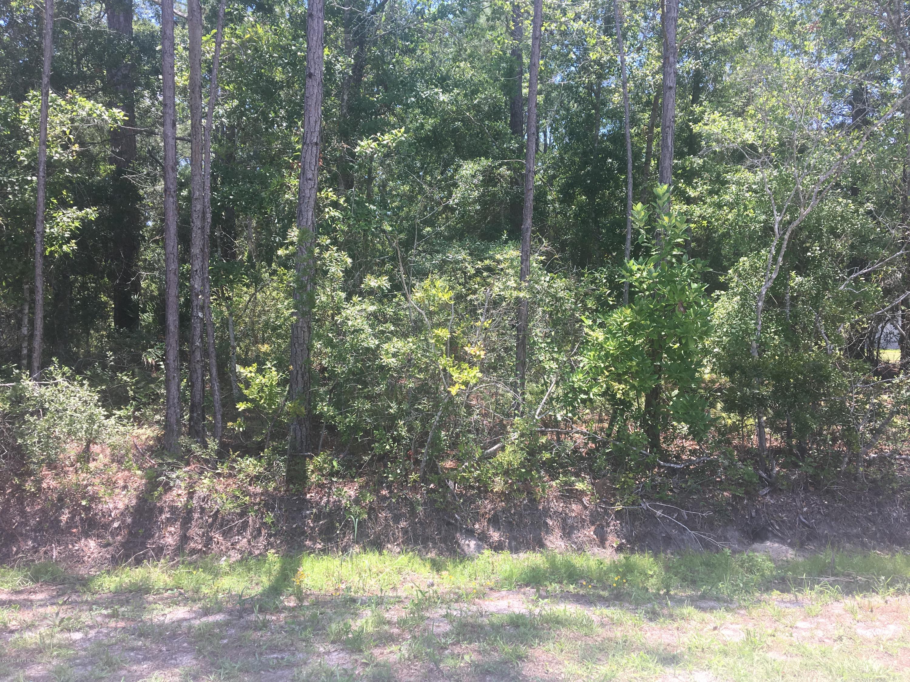 1206 Marlee Road St. Johns, FL 32259 - Photo 1 of 1 a view of a yard with plants and trees