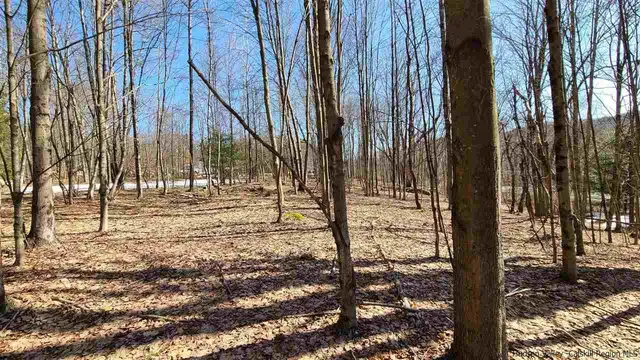 a view of park with trees
