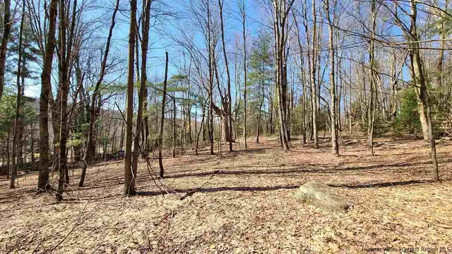 a view of a backyard of the house