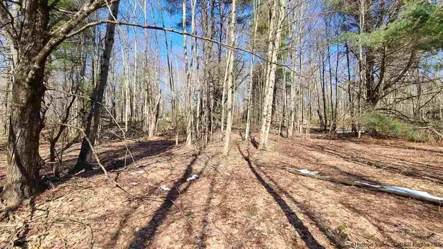 a view of a backyard of the house