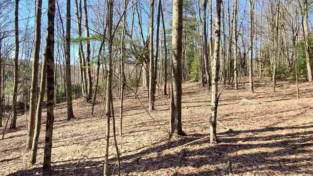 a view of outdoor space with backyard