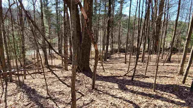 a view of a backyard of the house