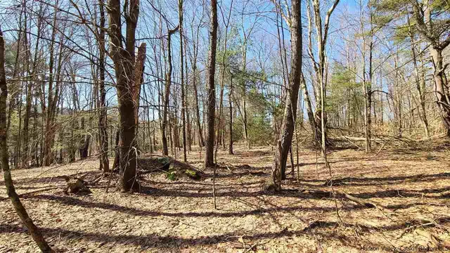a view of a swimming pool with a garden