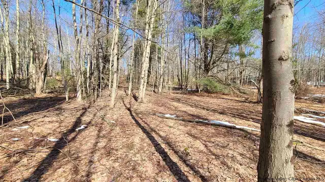 $449,700 | Tbd Tbd Ny-17, Harris, NY 12742