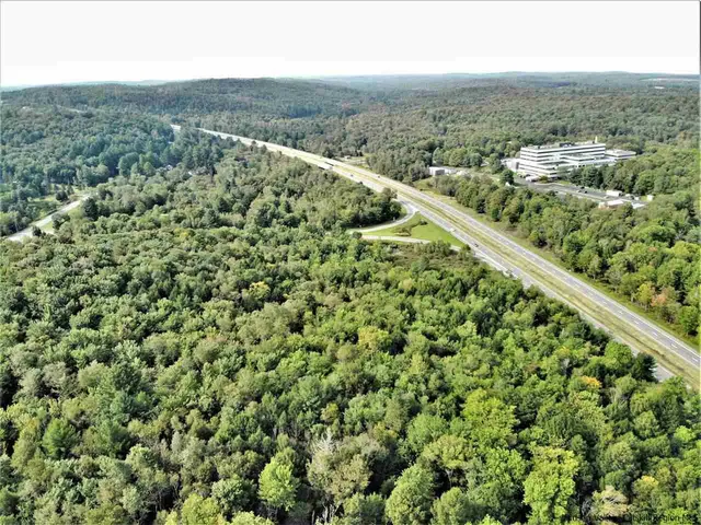 a view of a green field with lots of bushes