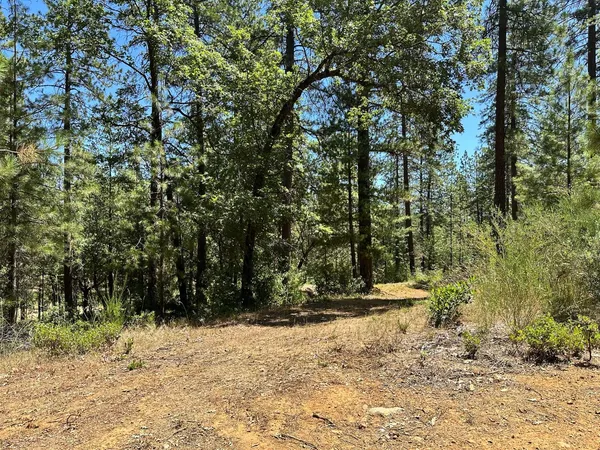 $550,000 | 1807 East Summit View Dr Meadow Vista, Meadow Vista, CA 95722