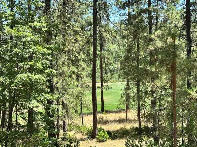 $550,000 | 1807 East Summit View Dr Meadow Vista, Meadow Vista, CA 95722