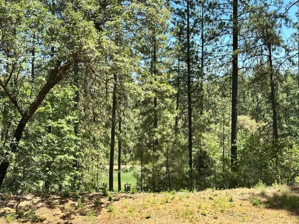 $550,000 | 1807 East Summit View Dr Meadow Vista, Meadow Vista, CA 95722