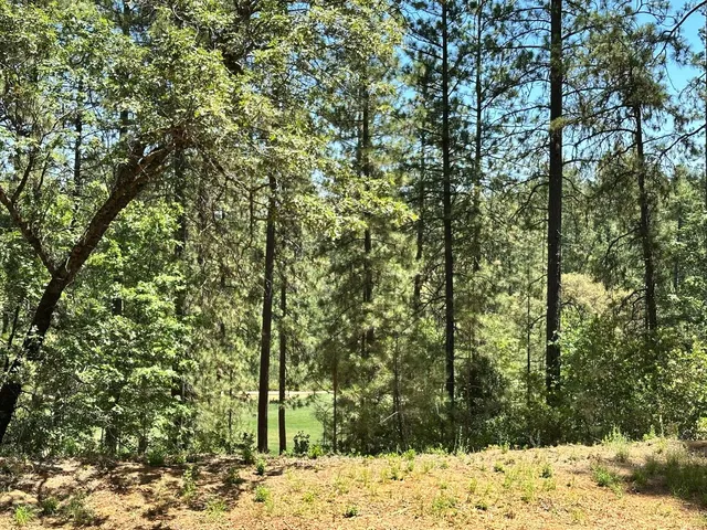 $550,000 | 1807 East Summit View Dr Meadow Vista, Meadow Vista, CA 95722