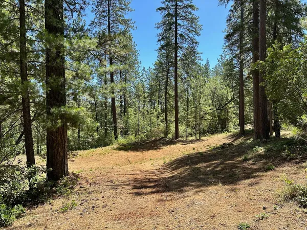 $550,000 | 1807 East Summit View Dr Meadow Vista, Meadow Vista, CA 95722