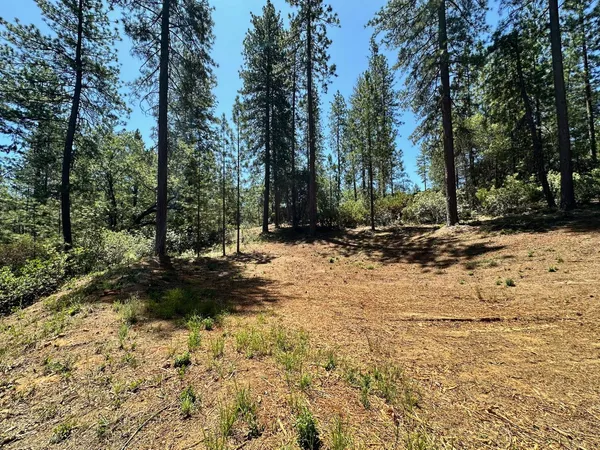 $550,000 | 1807 East Summit View Dr Meadow Vista, Meadow Vista, CA 95722